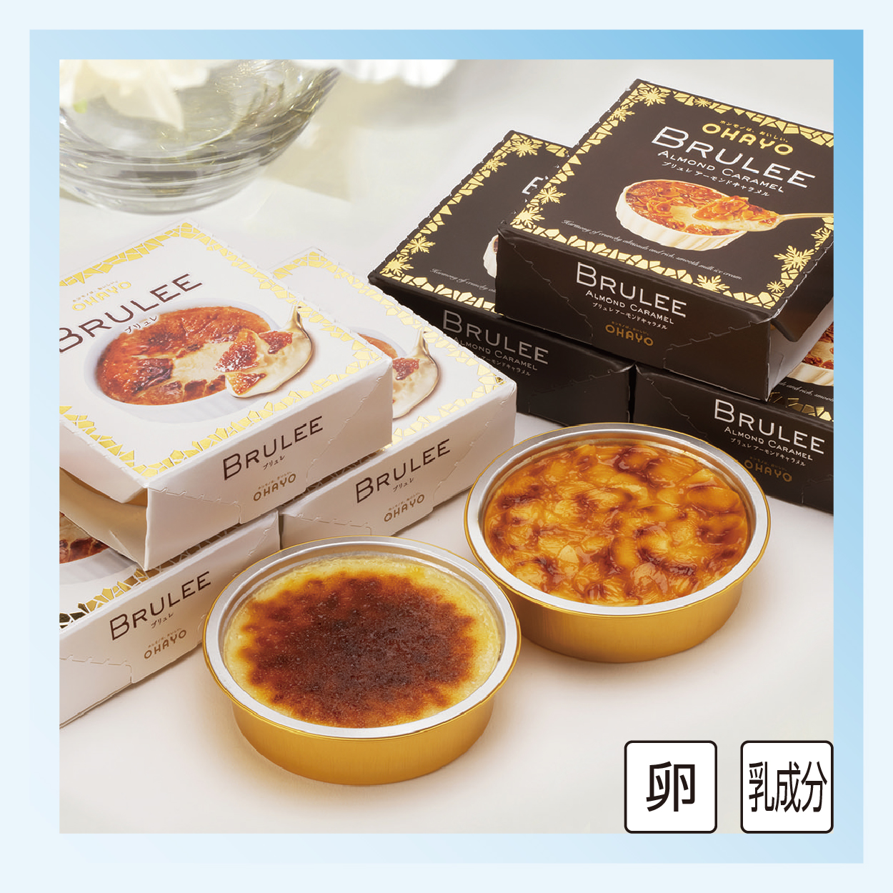 【クリスマス】オハヨー乳業　BRULEE  GIFT　(ブリュレ ギフト)　【S1101】 商品サムネイル